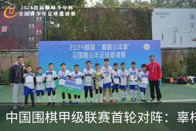 中国围棋甲级联赛首轮对阵：辜梓豪VS杨鼎新