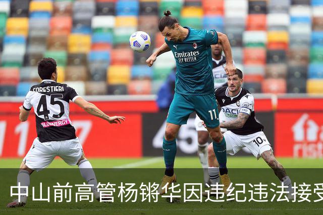 中山前高管杨锵华因违纪违法接受调查