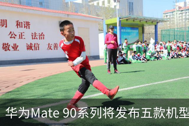 华为Mate 90系列将发布五款机型，价格上涨1000元