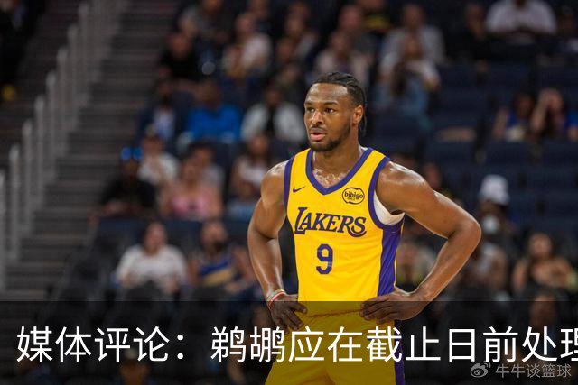 媒体评论：鹈鹕应在截止日前处理锡安交易