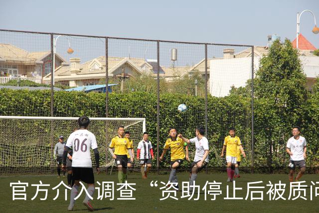 官方介入调查“资助停止后被质问”的事件