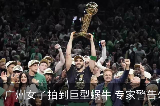 广州女子拍到巨型蜗牛 专家警告勿触碰勿食用