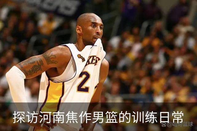 探访河南焦作男篮的训练日常