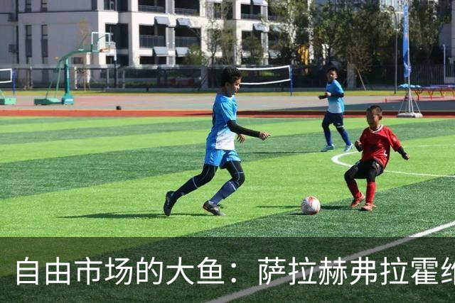 自由市场的大鱼：萨拉赫弗拉霍维奇在列 桑乔或再回多特