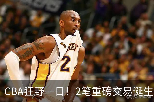 CBA狂野一日！2笔重磅交易诞生，6人完成签约，徐杰林葳互换被辟谣